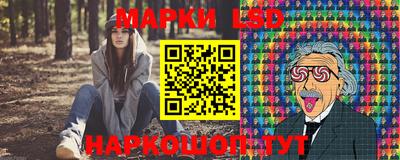 прущие грибы Будённовск
