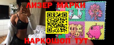 прущие грибы Будённовск
