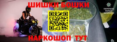 прущие грибы Будённовск