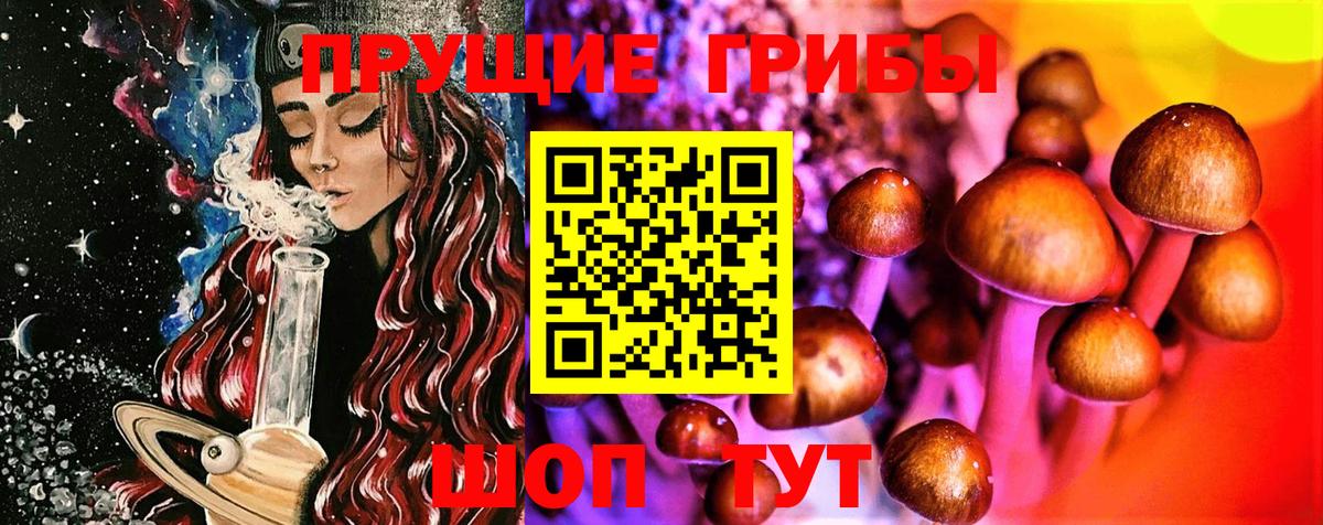 Псилоцибиновые грибы мицелий Северодвинск