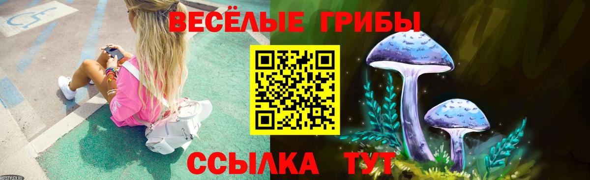 Псилоцибиновые грибы Psilocybine cubensis  Галлюциногенные грибы прущие грибы  Северодвинск  Вход с VPN 